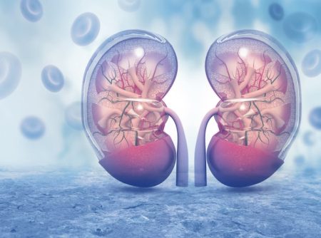 NHS Scotland, AZ and Scottish universities partner for kidney health research
