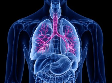 AI-Powered chest X-Rays detect lung cancer early
