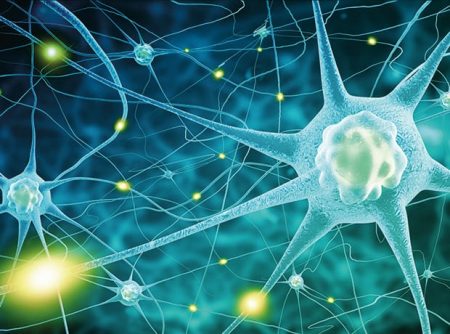 Porosome Therapeutics unveils breakthrough Alzheimer’s research
