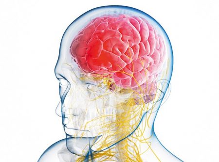 Transgene completes randomisation in phase 2 trial of tg4050
