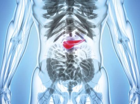 Erasca secures FDA fast track for eras‑0015 in pancreatic cancer
